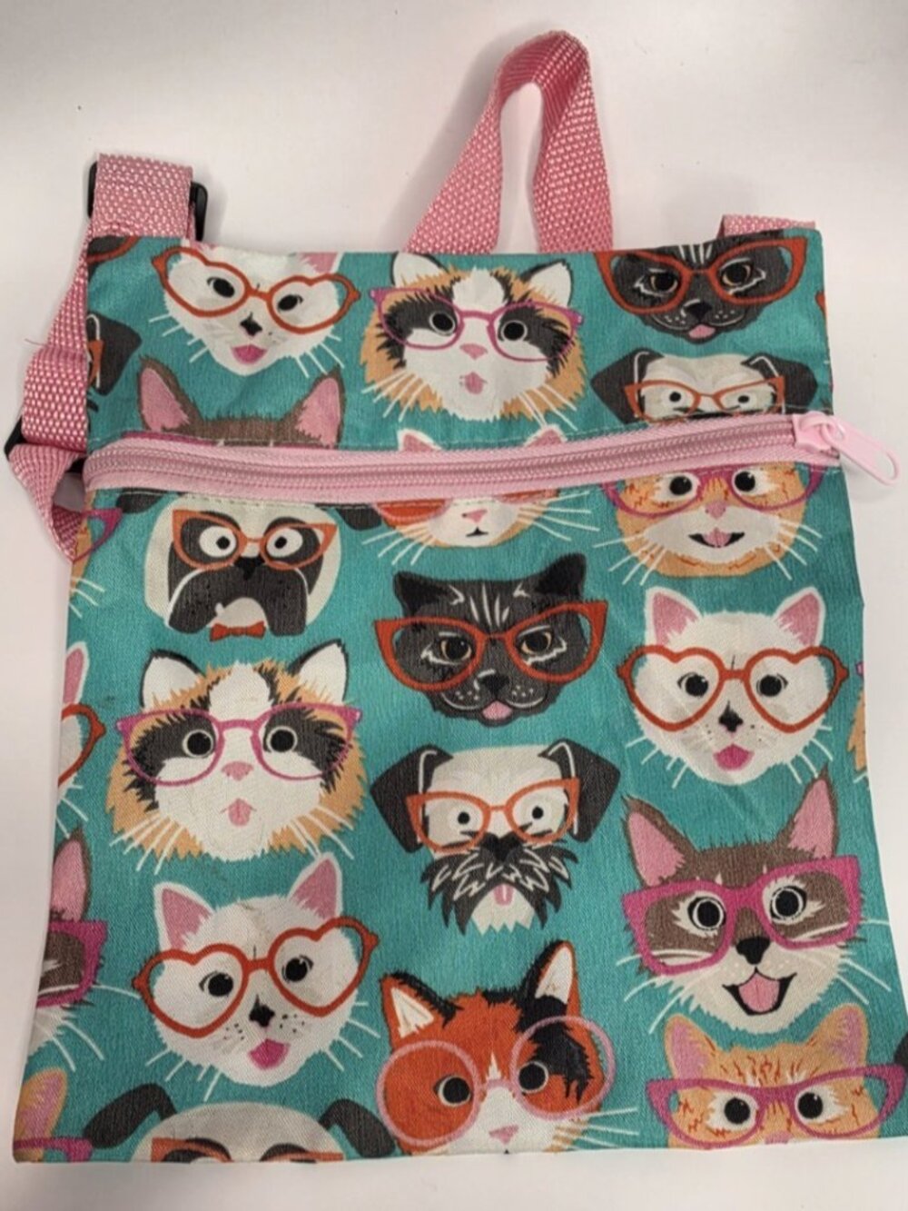 Crossbody Pouch Bag Aqua Cyan Cats Dogs with Glasses Zippered Travel